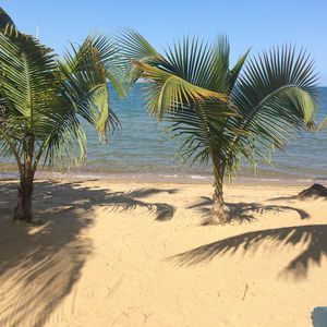 Meet your Posher, Kalene